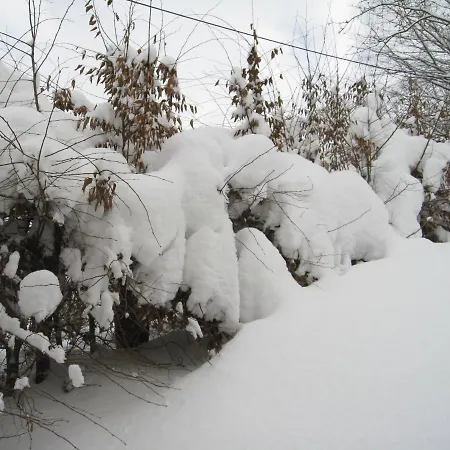 度假居 Hausamaarbach 维林根