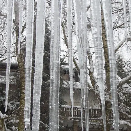 Hausamaarbach Willingen (Upland)