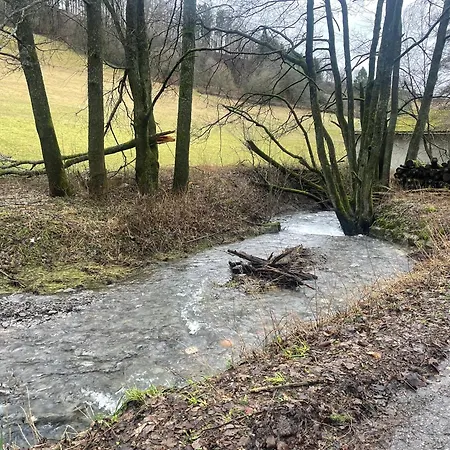 Vakantiehuis Hausamaarbach Willingen (Upland)