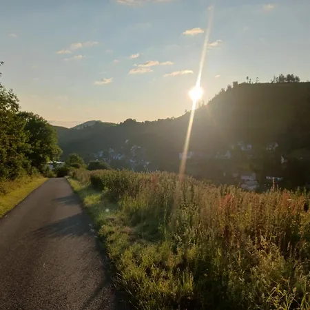 Hausamaarbach Виллинген