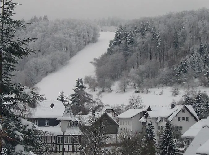 Hausamaarbach * Виллинген