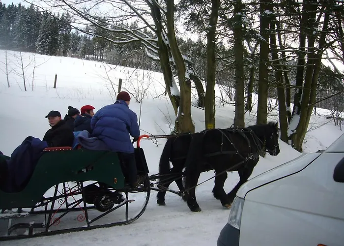 Дом отдыха Hausamaarbach Виллинген
