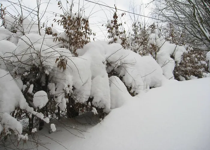 Дом отдыха Hausamaarbach Виллинген